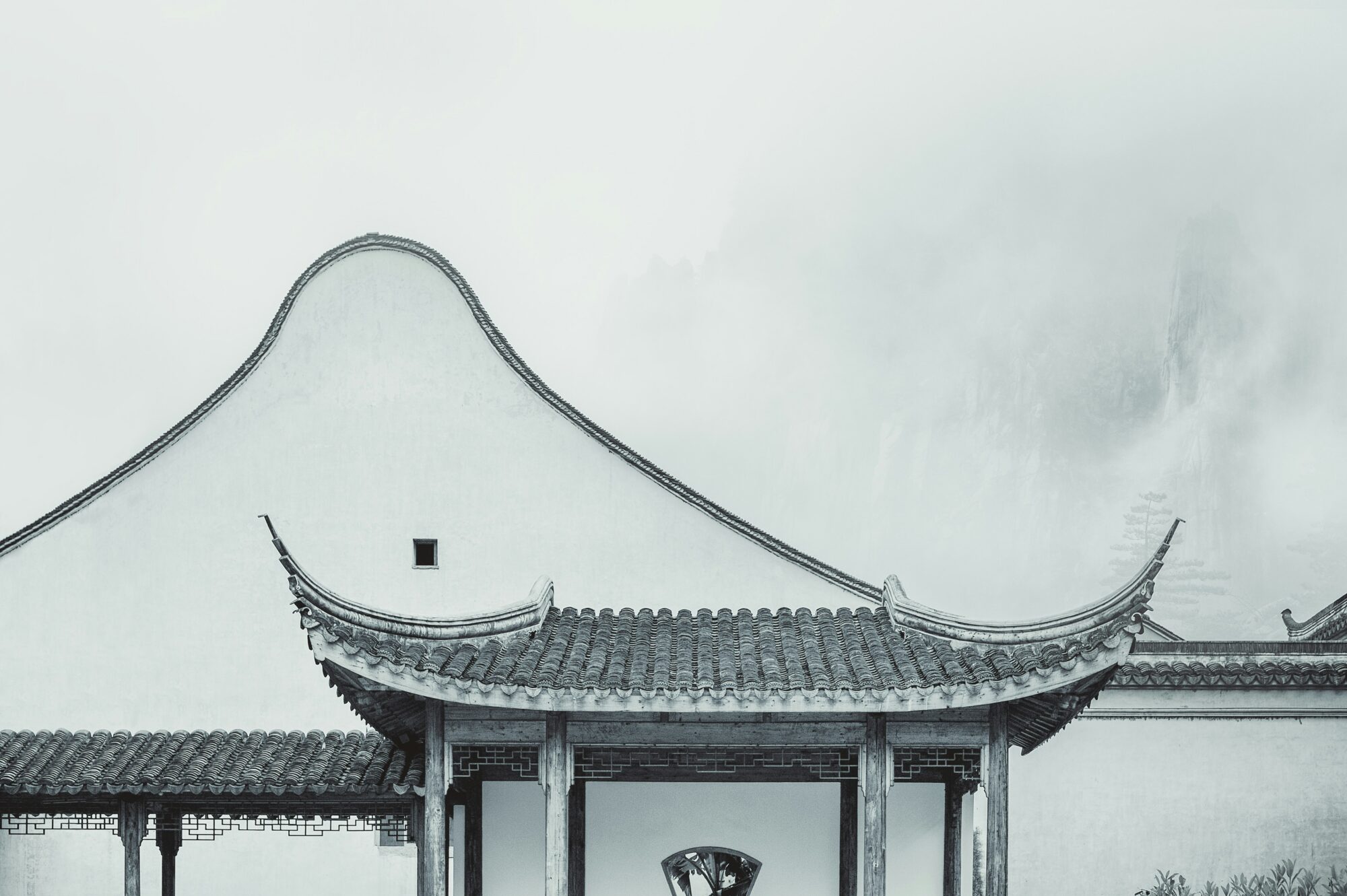 AI 时代,感受力才是硬通货