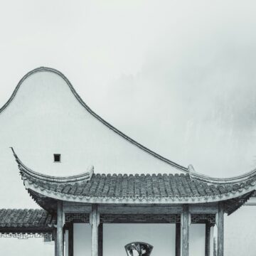 AI 时代,感受力才是硬通货